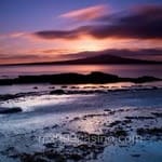 Avatar de Arturo Zúñiga